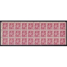 ARGENTINA TIERRA DEL FUEGO GJ 1A CORREO PRIVADO POPPER BLOQUE DE 30 ESTAMPILLAS NUEVAS MINT CON BORDES DE HOJA HERMOSA PIEZA U$ 450+